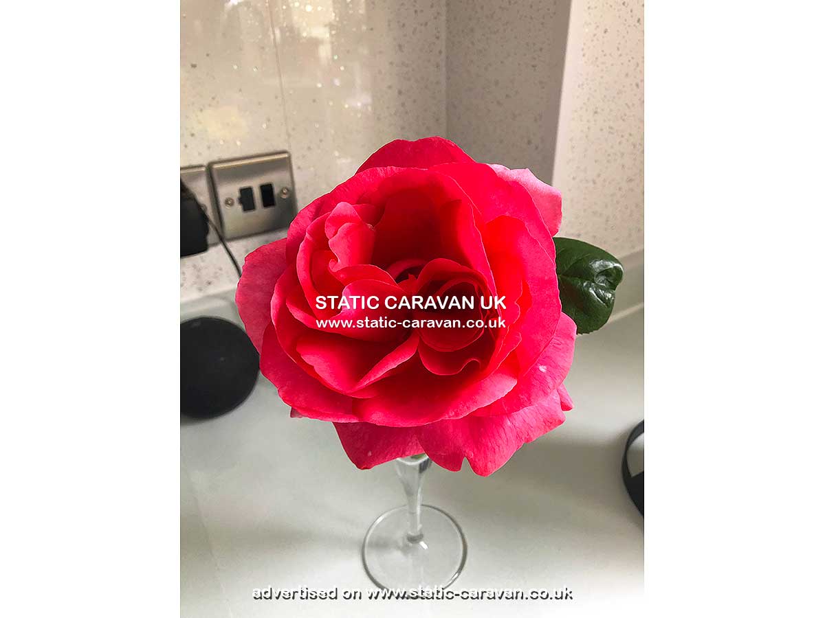 Caravan for hire Padstow 9 at Liskey Hill, Perranporth, Cornwall