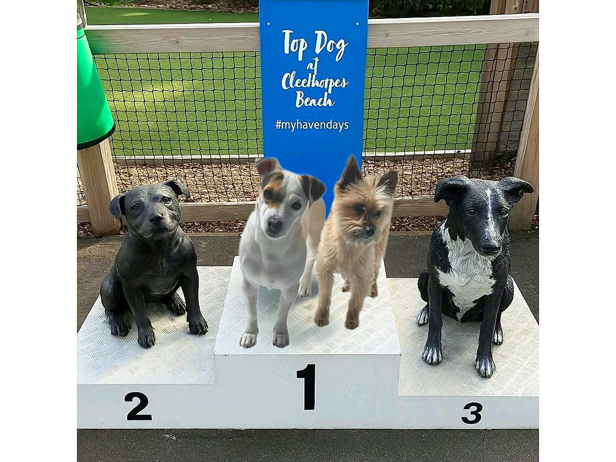 Caravan for hire 84 Broadlands Drive at Cleethorpes Beach (formerly Thorpe Park), Lincolnshire