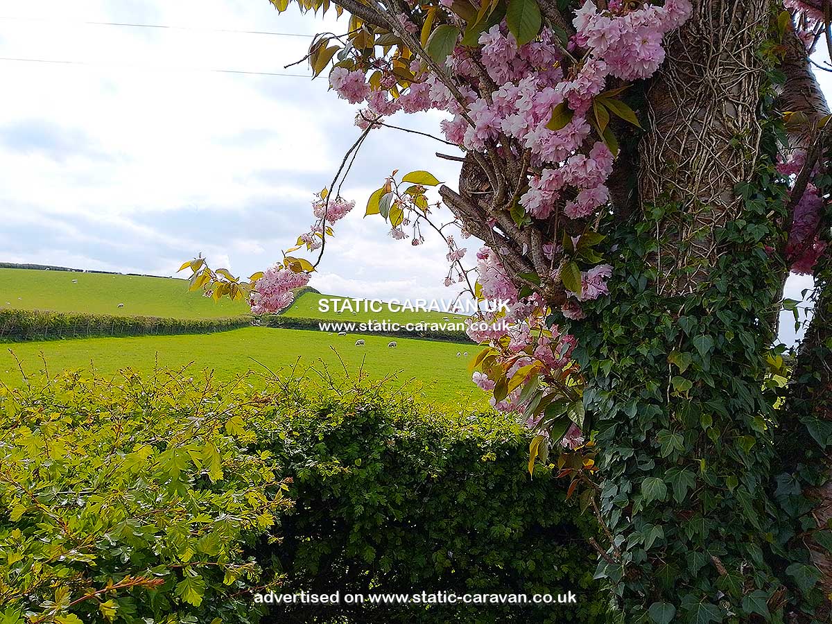 Caravan holiday rental Caravan 2 at New House Farm, Yealand Redmayne, Carnforth, Lancashire