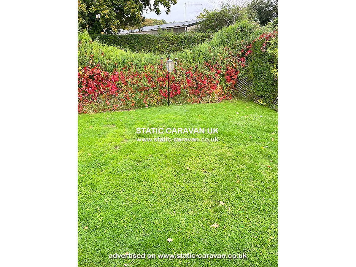 Caravan for hire Poppy 52 at Oakdene Forest Park, St.Leonards, Dorset